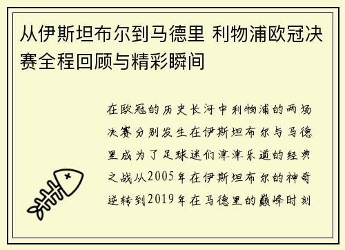 从伊斯坦布尔到马德里 利物浦欧冠决赛全程回顾与精彩瞬间