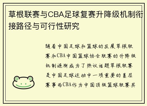 草根联赛与CBA足球复赛升降级机制衔接路径与可行性研究