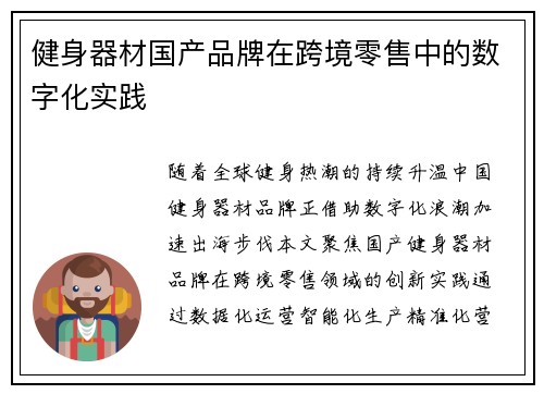健身器材国产品牌在跨境零售中的数字化实践